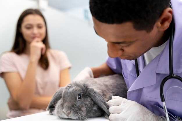 Лечение аллергии на кроликов
