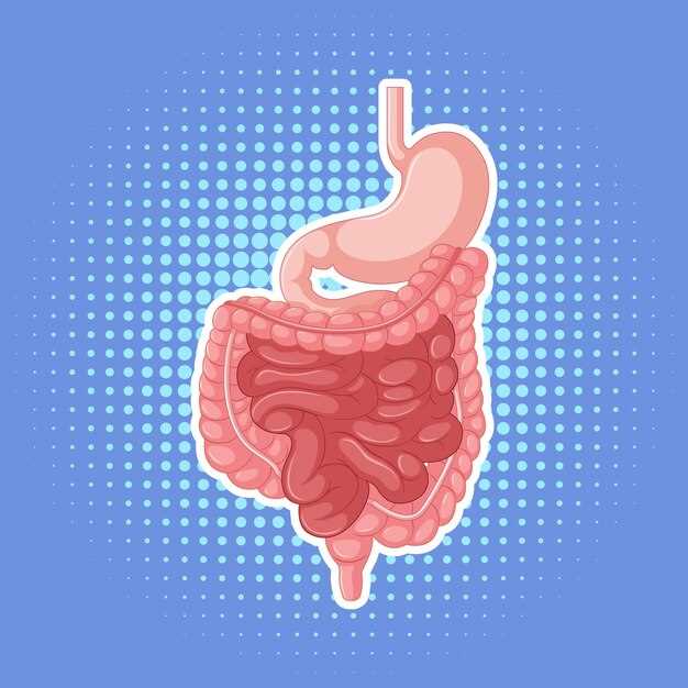 Роль пристеночного пищеварения в работе тонкого кишечника
